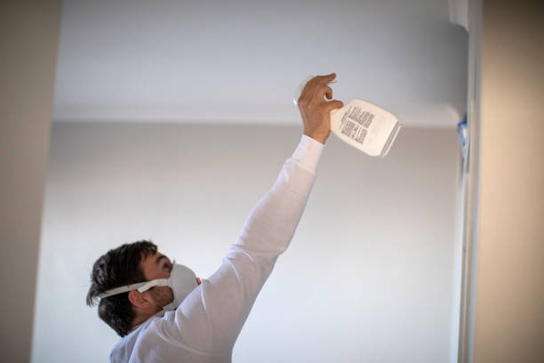 Best Office Mold Removal Services  in , WI