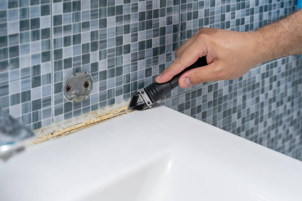 Best Office Mold Removal Services  in , WI